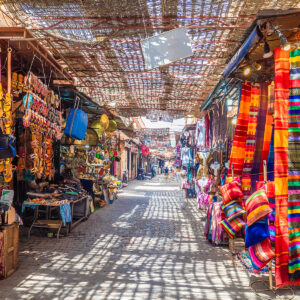 Shopping Marrakesh Guided City Tour - Visit Souks