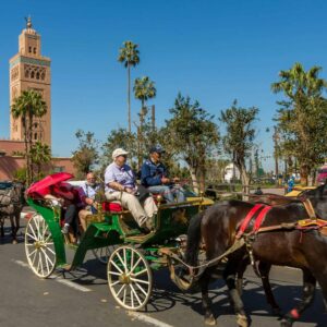 Horse Carriage Ride Marrakesh – Horse Excursion